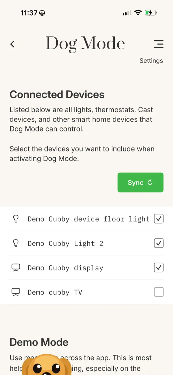 Connected Devices screen — list of paired Google Home lights and Cast devices with checkboxes.